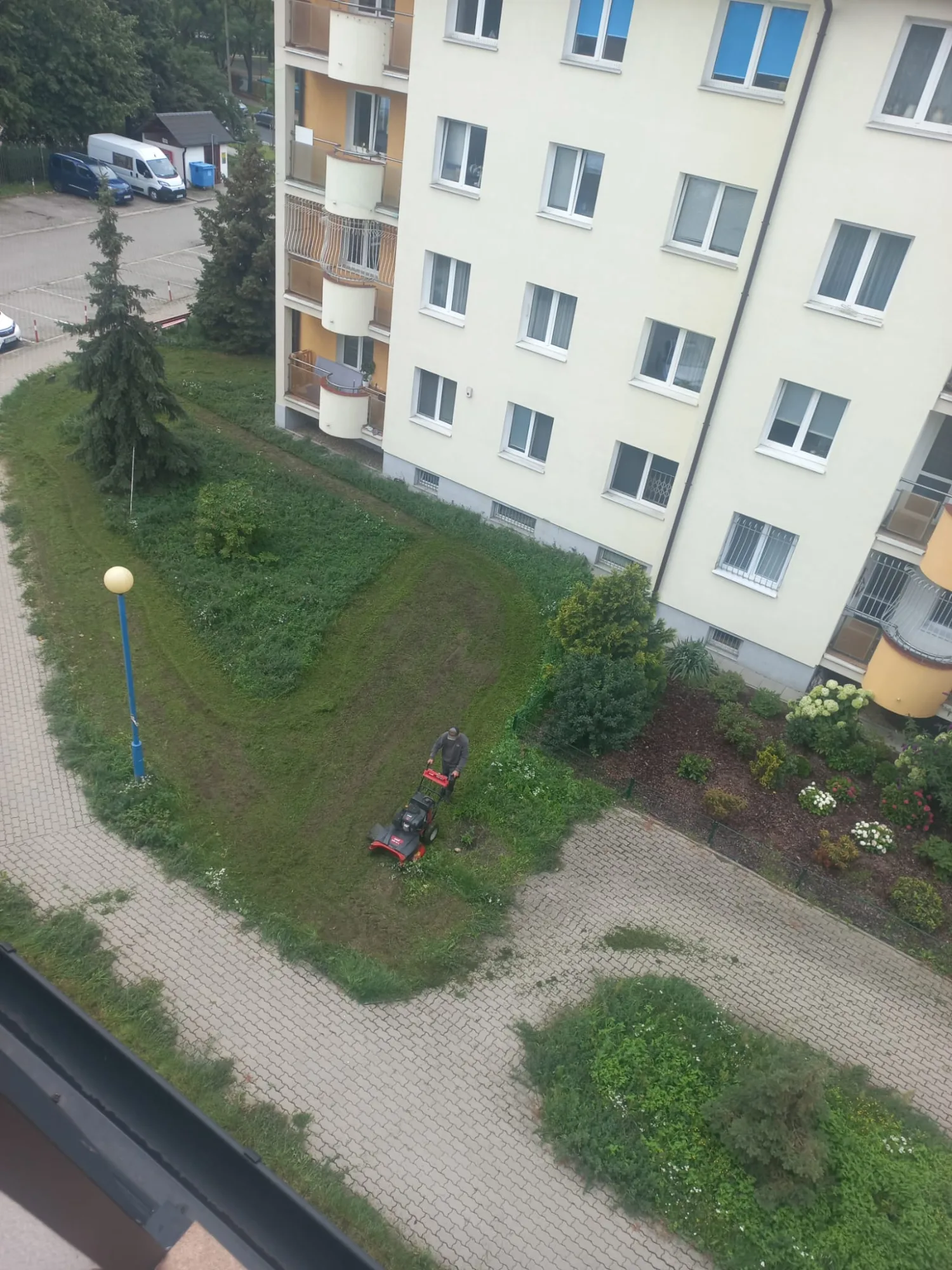 Zdjęcie z dnia koszenia (27.07)