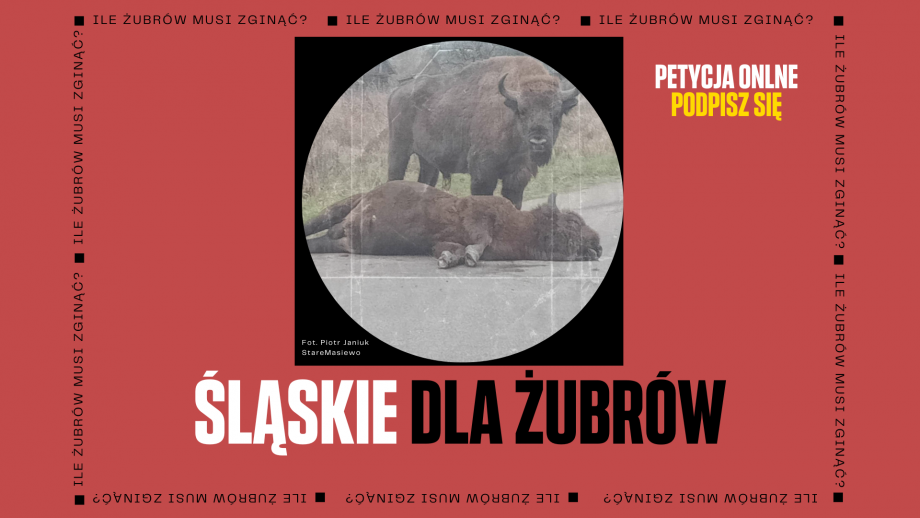 Śląskie_dla_Żubrów_wydarzenie1.png