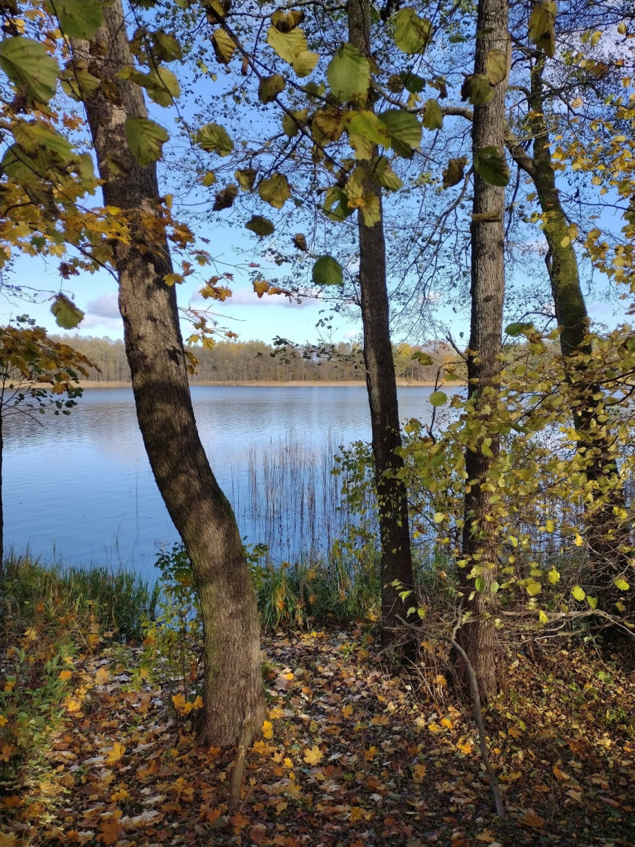 0cccb8f1-330e-4d3f-a706-211ccf17e8c5.jpeg