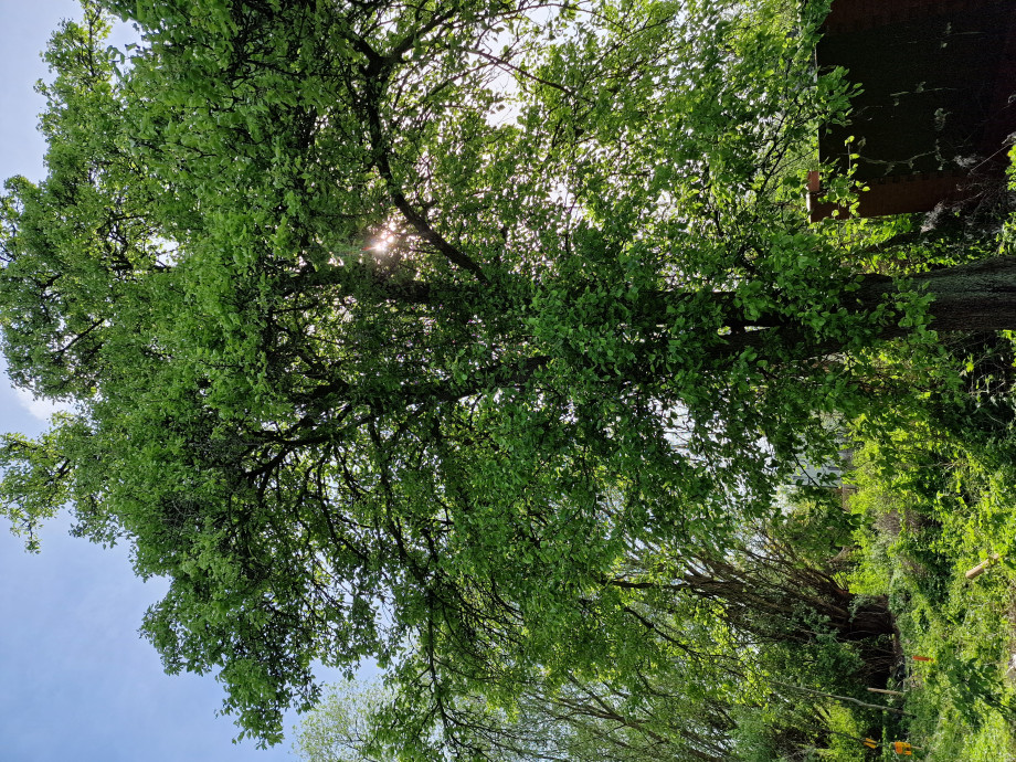 20240429_1606381.jpg
