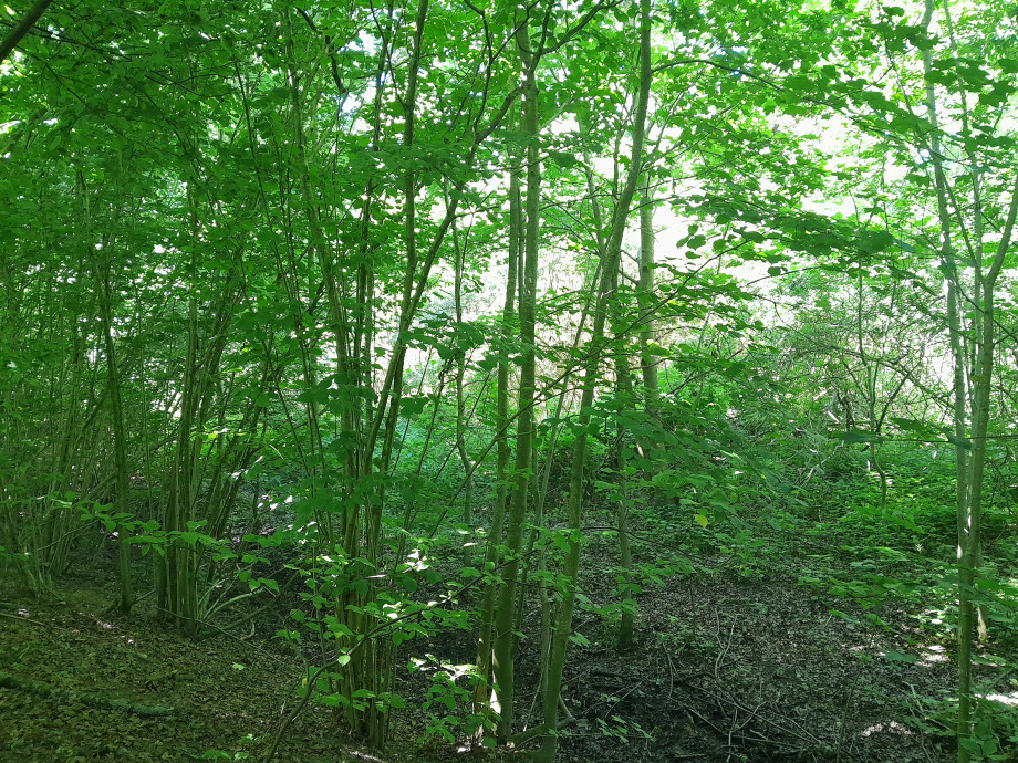 20250702_120631.jpg