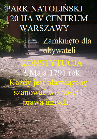 3_maja.png