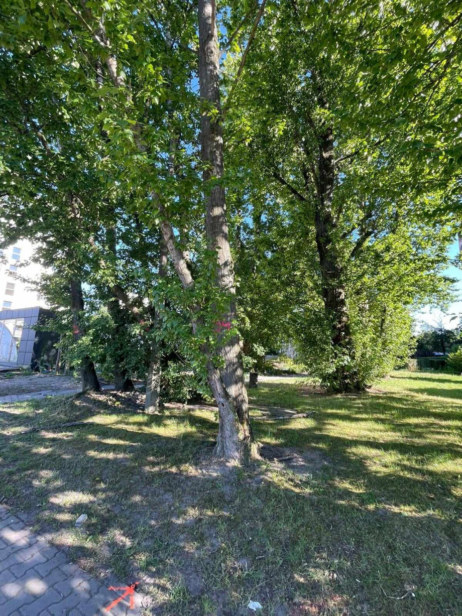 448353724_970997927994620_1711798099840155802_n.jpg
