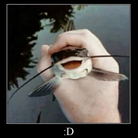 D.png