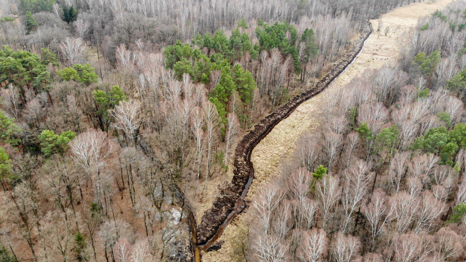 DJI_0006-3-2.jpg
