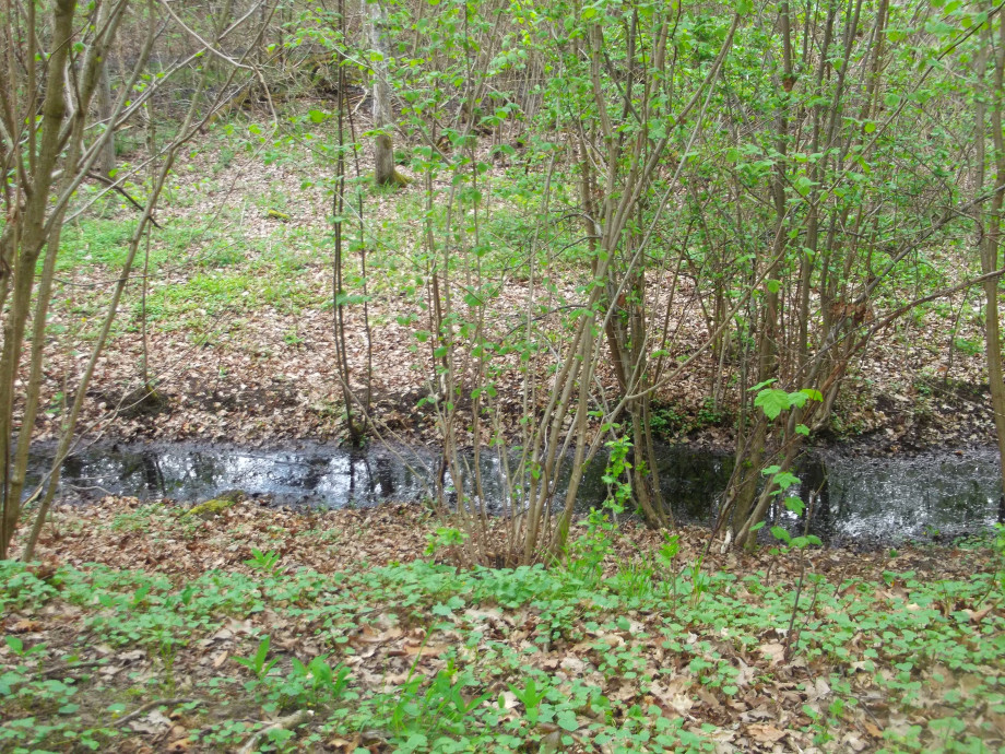 DSCF0323.JPG