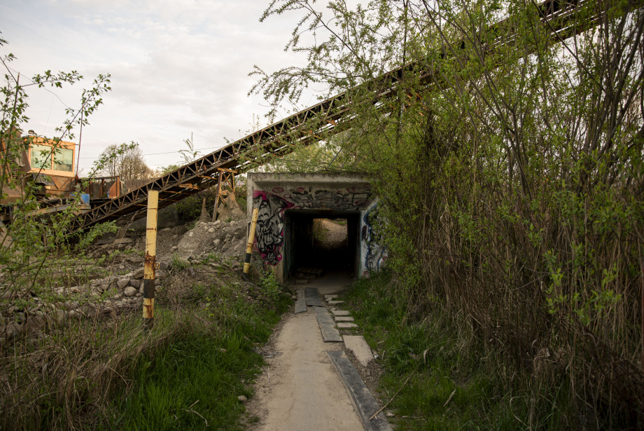 DSC_00181.jpg