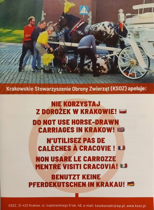 Gi9y8AvWcAA0RDGx1.jpg