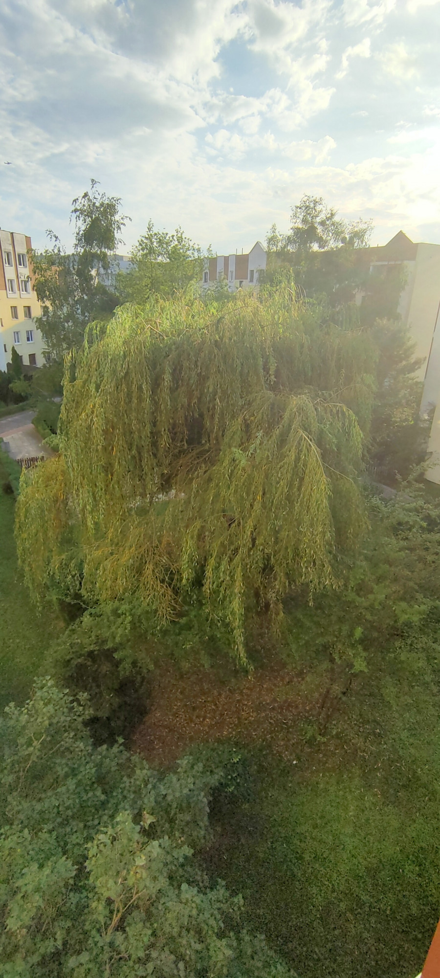 IMG20230821175646.jpg