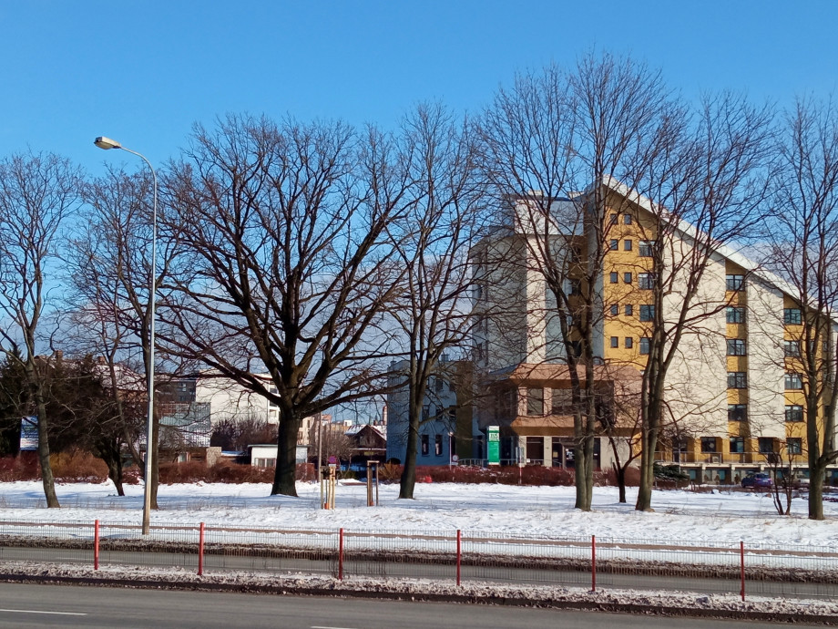 IMG_20220123_1935081.jpg
