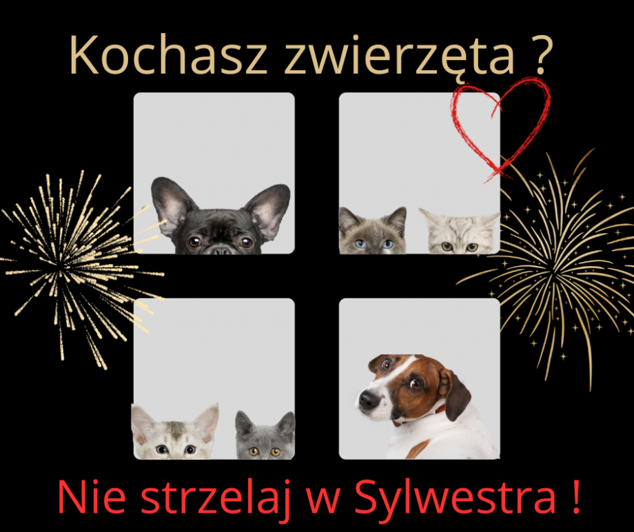 Kochasz_zwierzęta._Nie_strzelaj_w_Sylwestra!_1.png