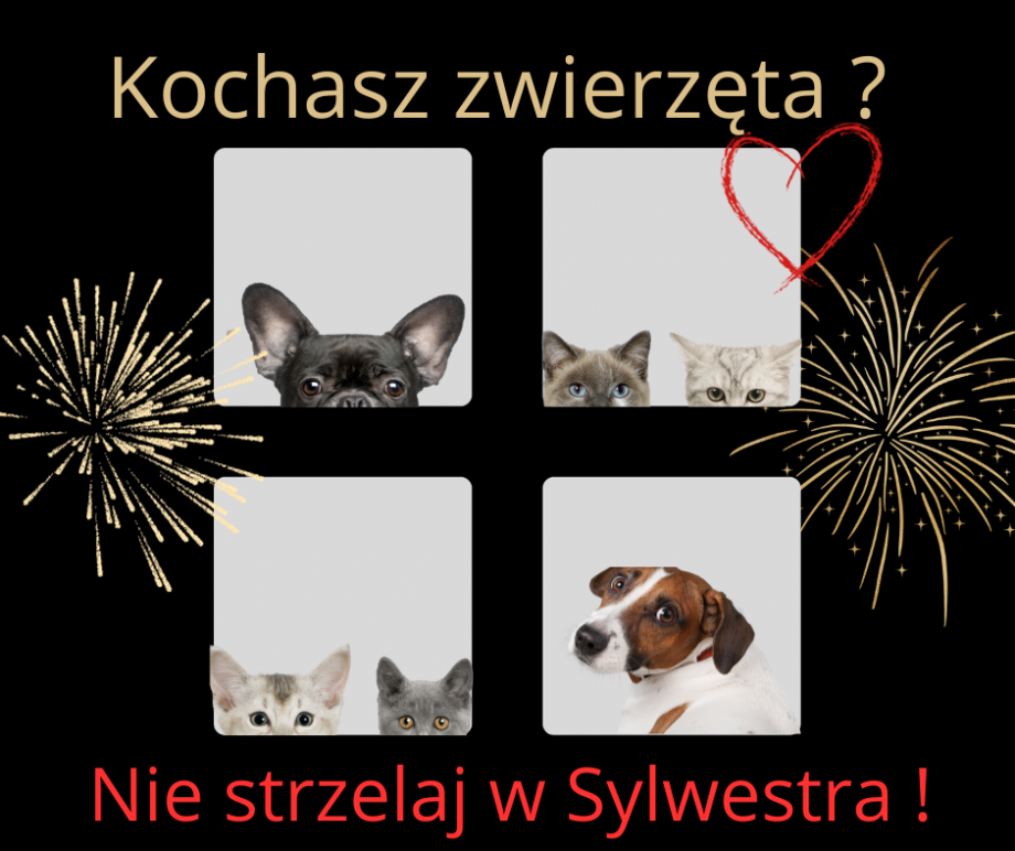 Kochasz_zwierzęta._Nie_strzelaj_w_Sylwestra!_1_.png