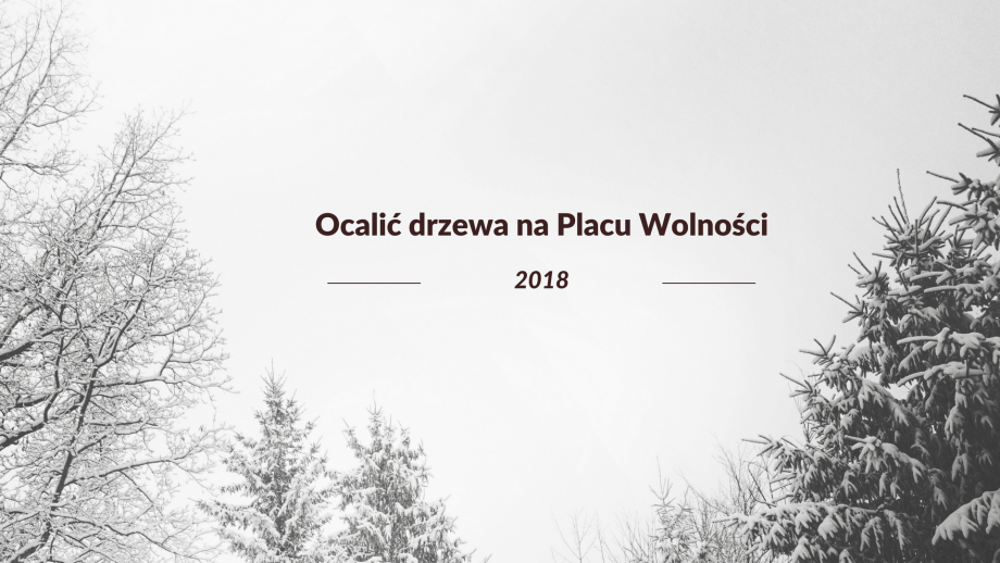 Ocali_drzewa_n_Placu_Wolnoci.png