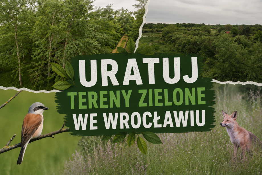 UratujKsieze1.png