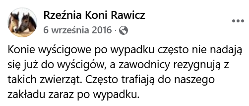 Zrzut_ekranu_2024-10-14_2256282.png
