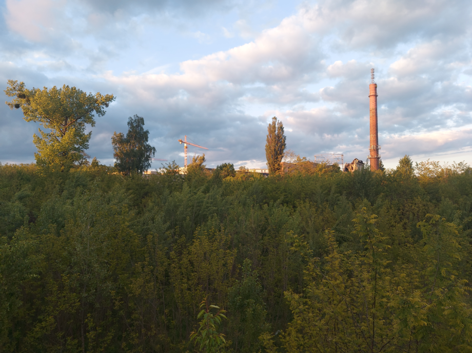Zrzut_ekranu_2025-05-16_223253.png