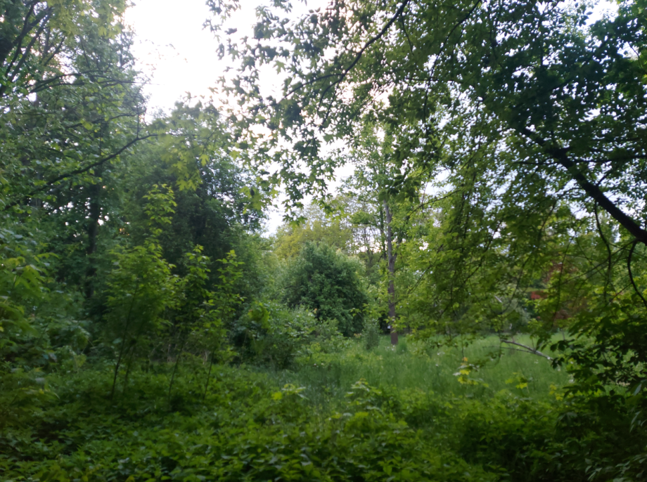 Zrzut_ekranu_2025-05-16_223455.png