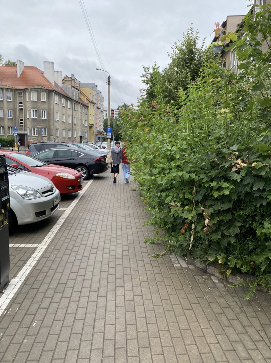 Zrzut_ekranu_2025-07-24_o_20.05_.57_.png