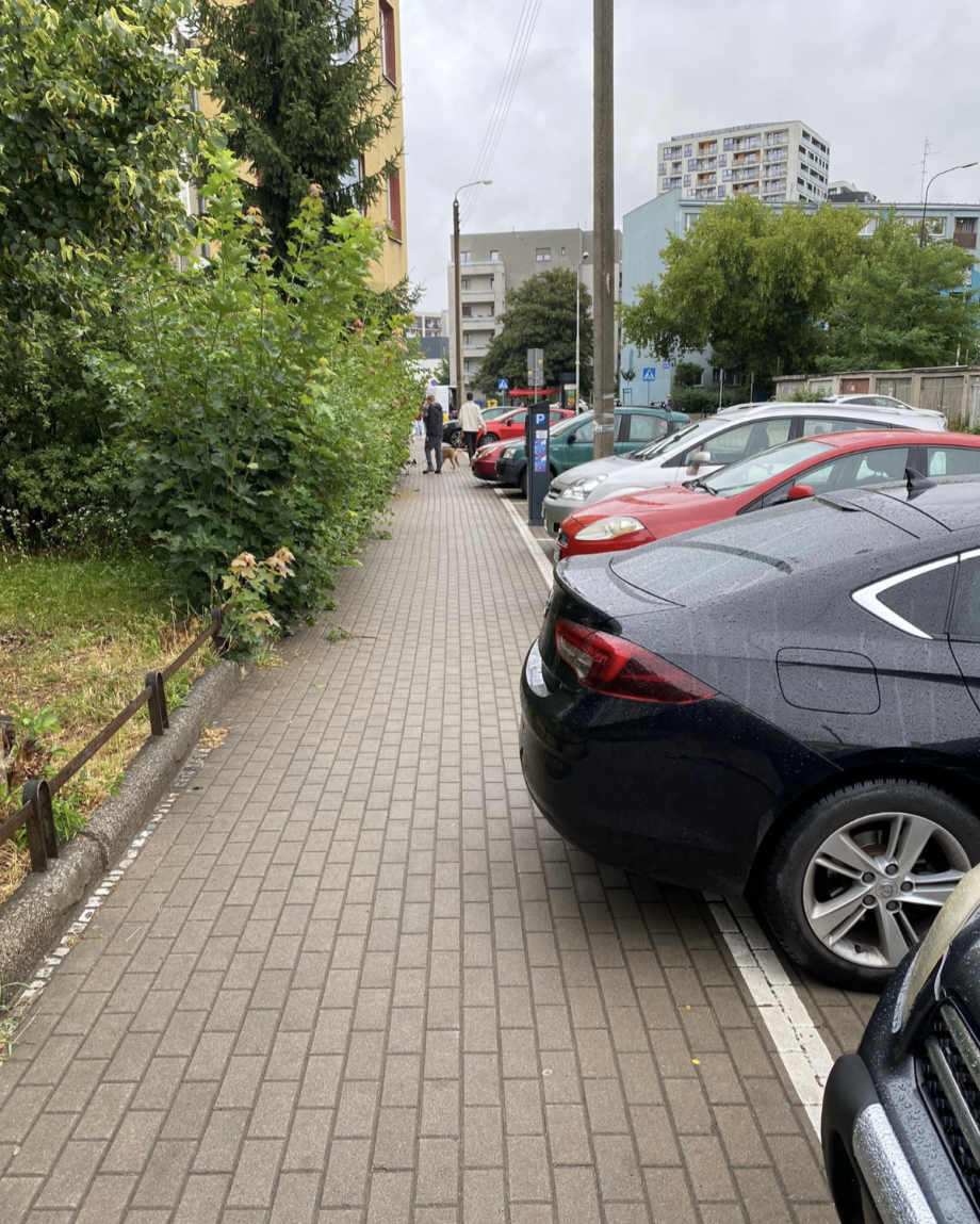 Zrzut_ekranu_2025-07-24_o_20.07_.42_.png