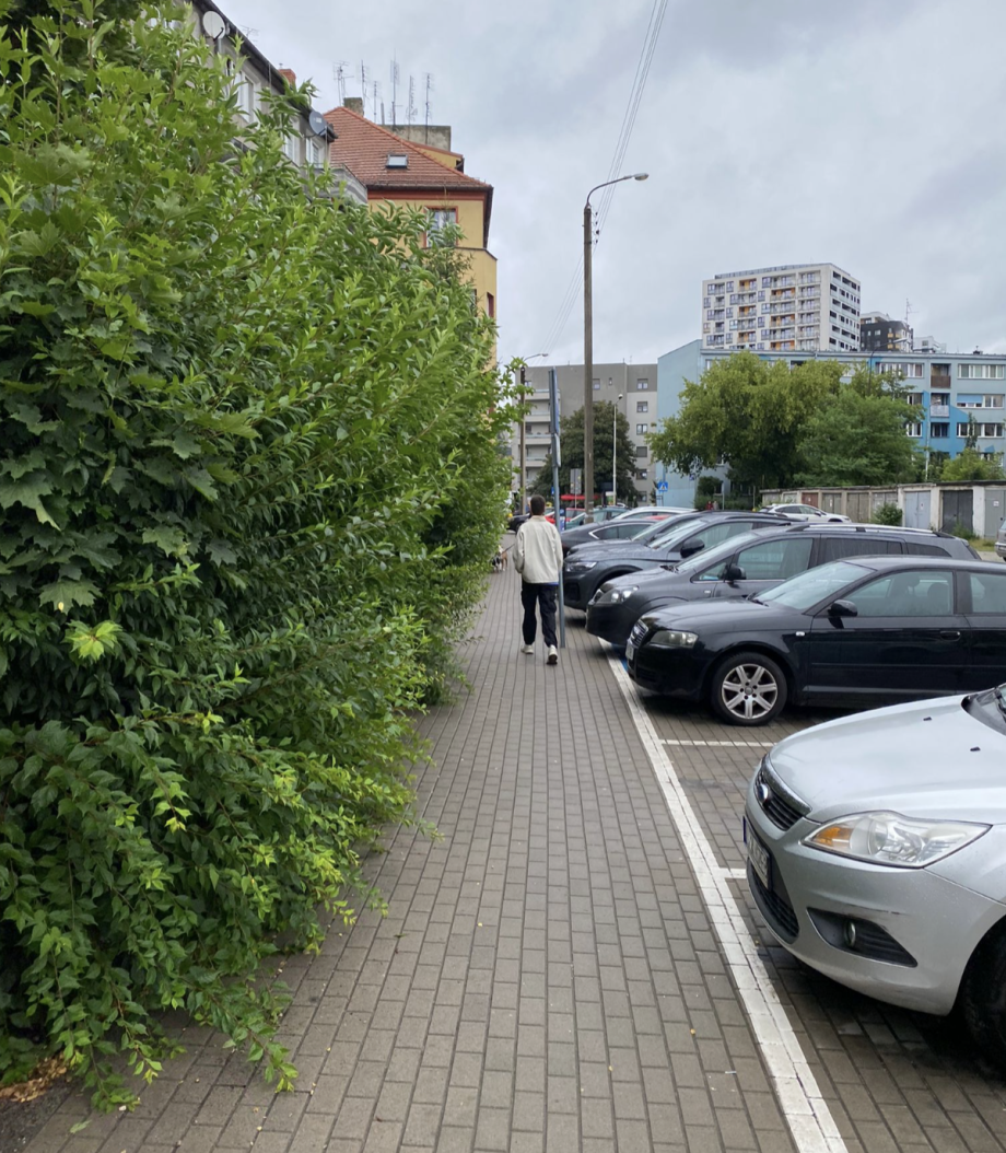 Zrzut_ekranu_2025-07-24_o_20.08_.15_.png