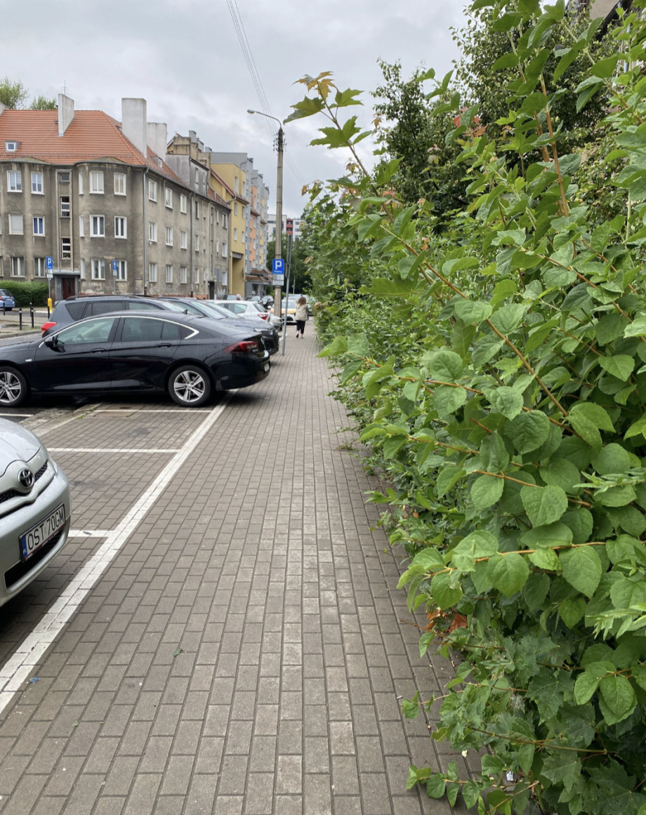 Zrzut_ekranu_2025-07-24_o_20.13_.38_.png