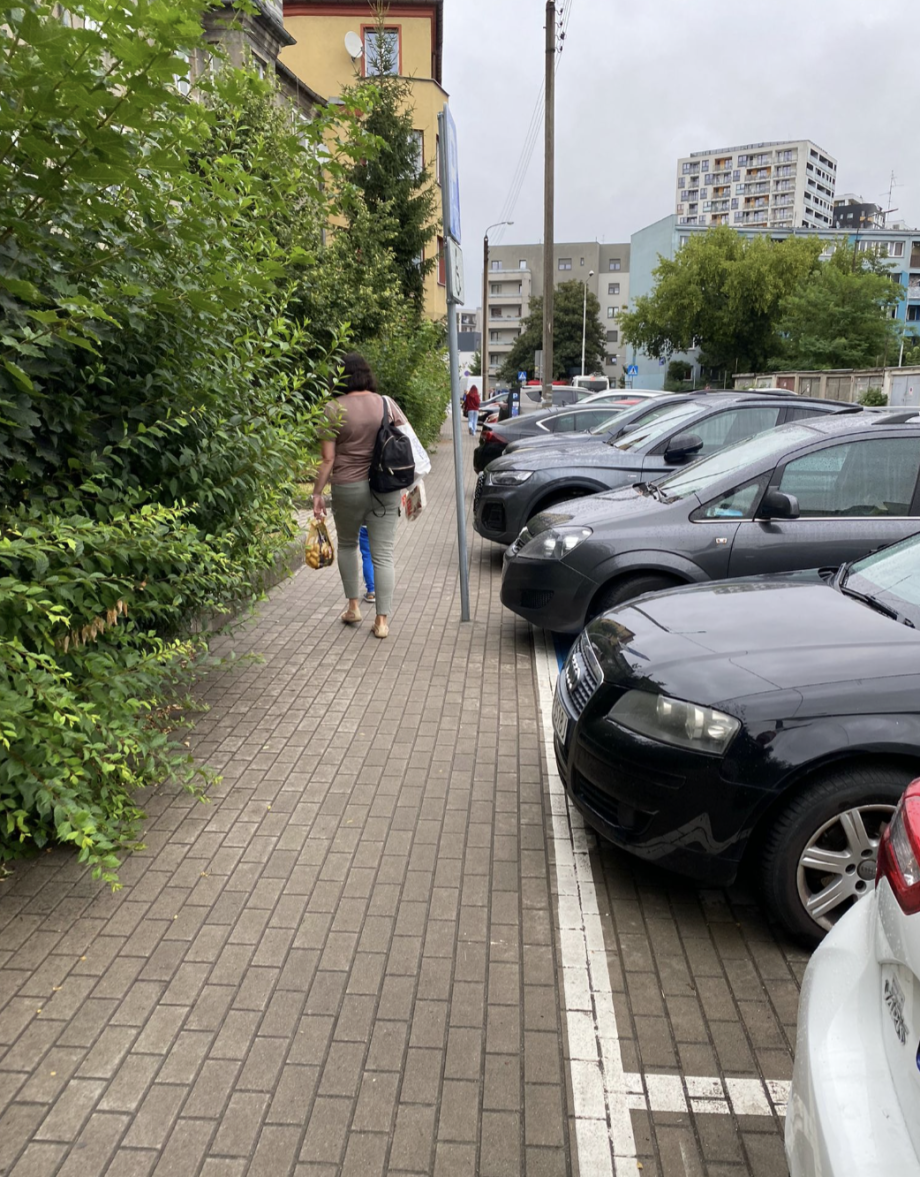 Zrzut_ekranu_2025-07-24_o_20.14_.15_.png