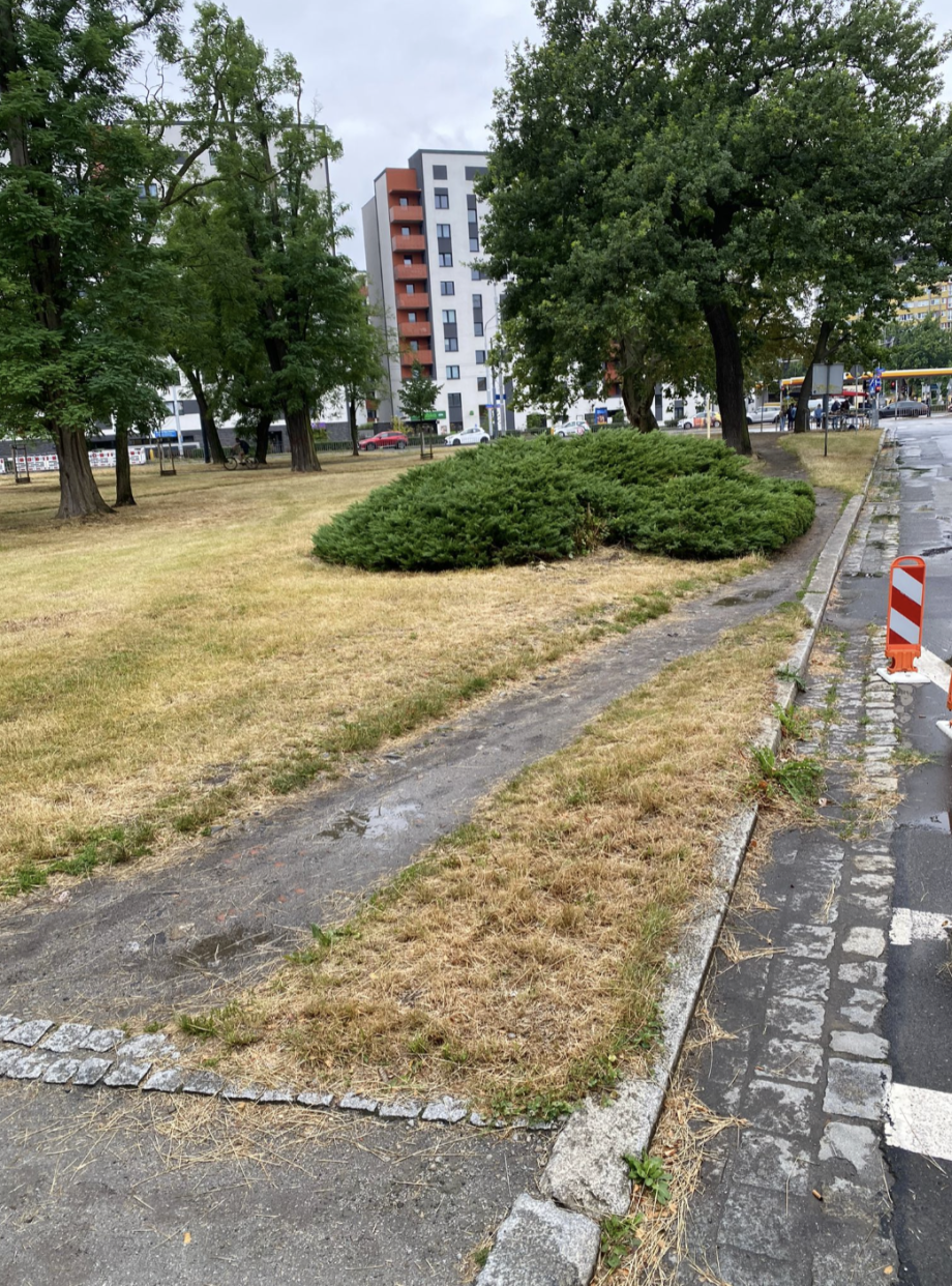 Zrzut_ekranu_2025-07-24_o_20.15_.51_.png