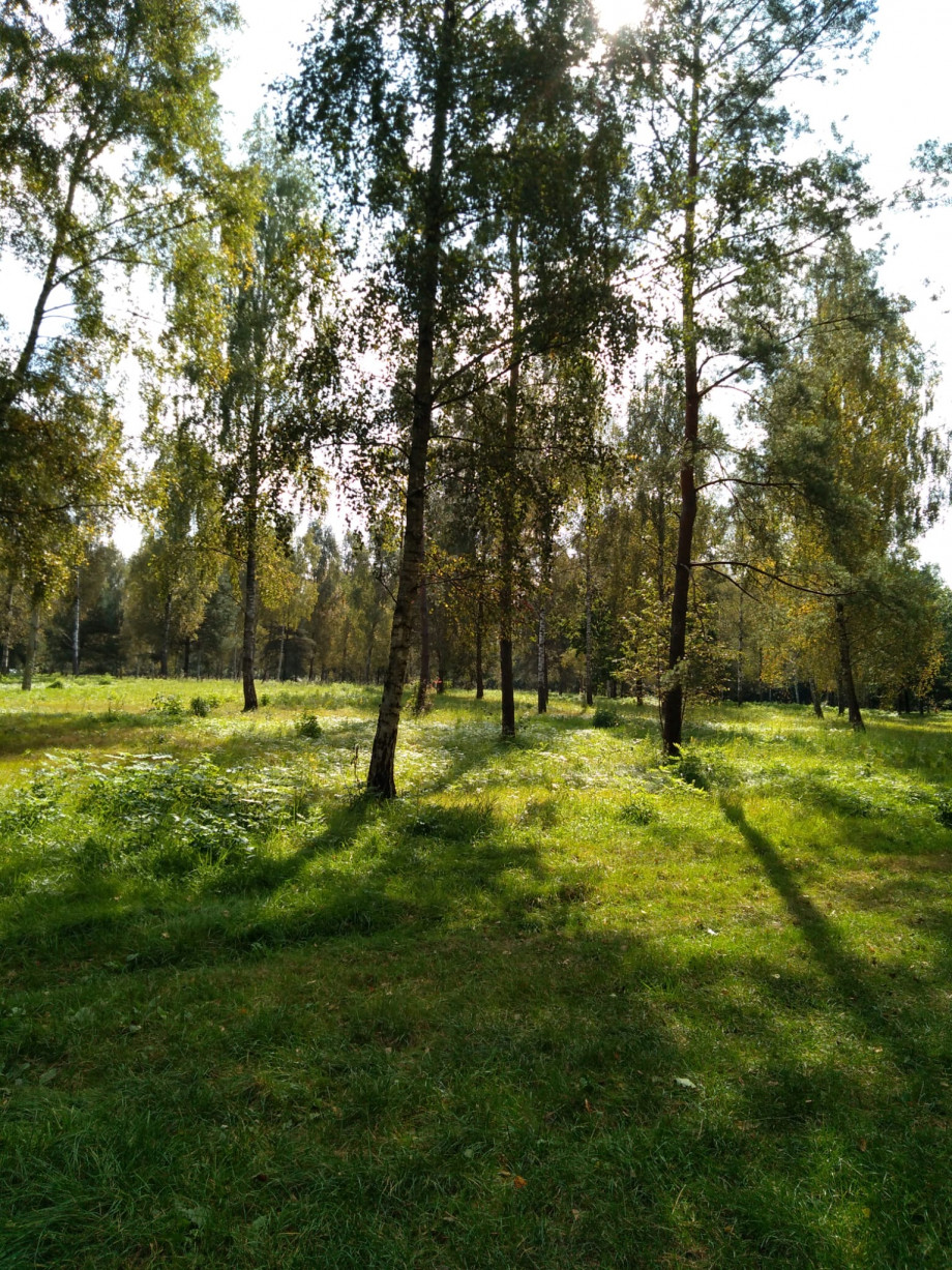 abfad980-3d61-4071-871e-66894581d188.jpeg
