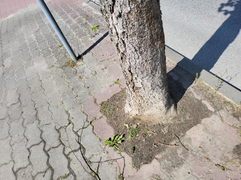 beton_niesie_śmierć_(1).jpg