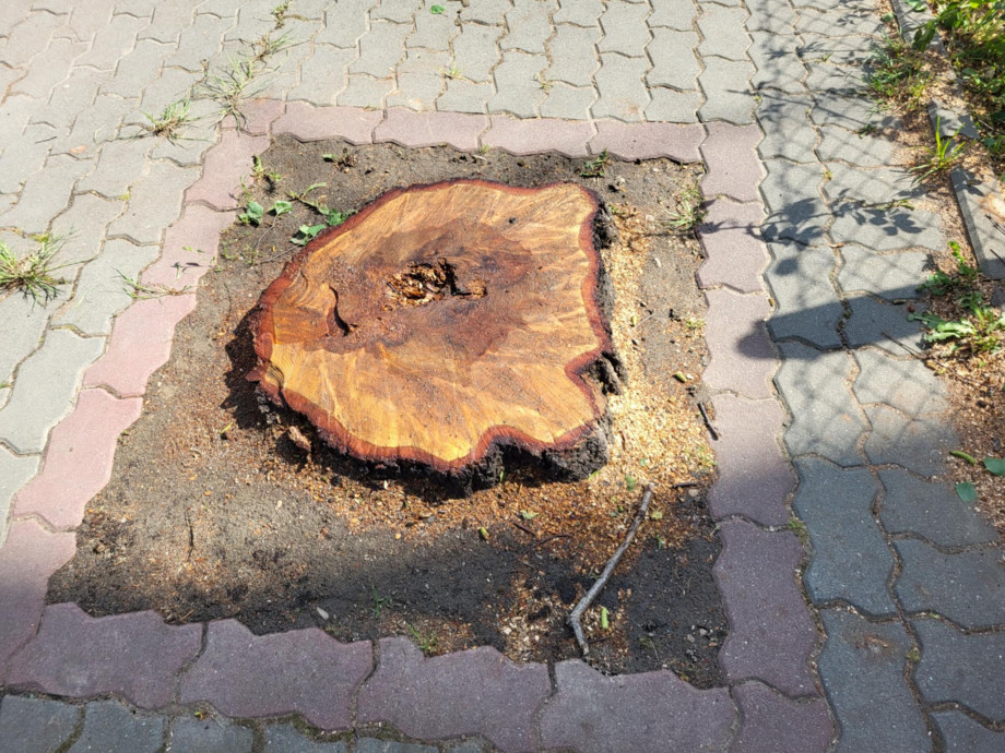 beton_niesie_śmierć_(2).jpg