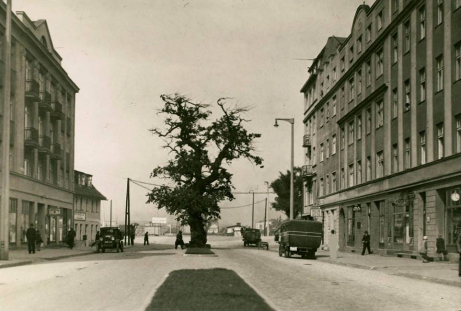 dabportowa1.jpg