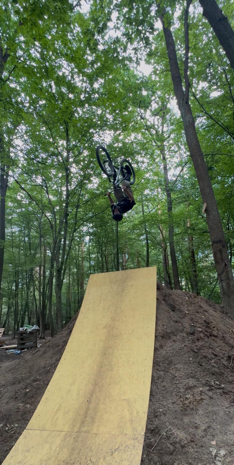 image00001.jpeg