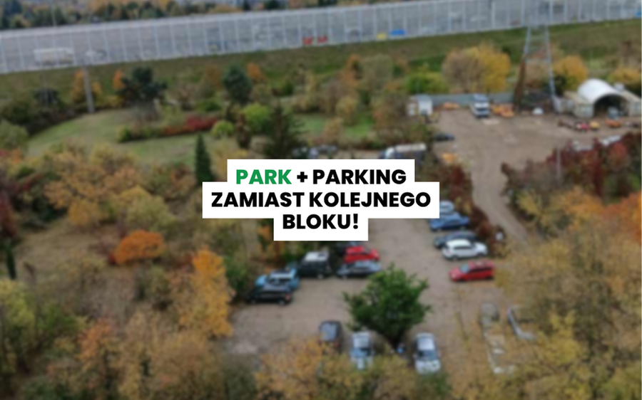 parkiparking.png