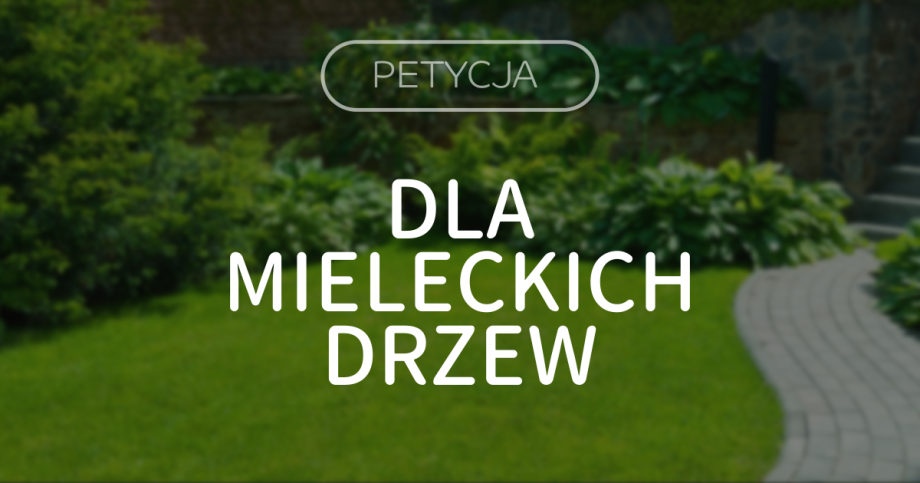 petycja_header.png