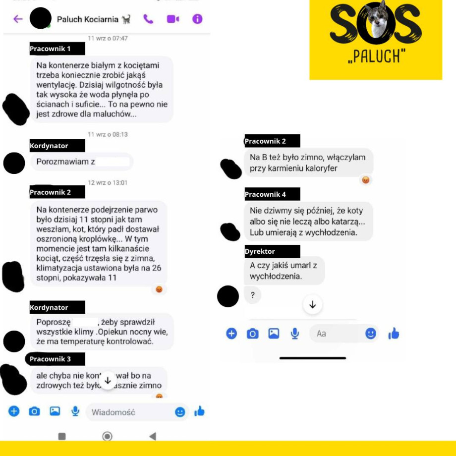 sprawa_kociaka_punkt_12.jpg
