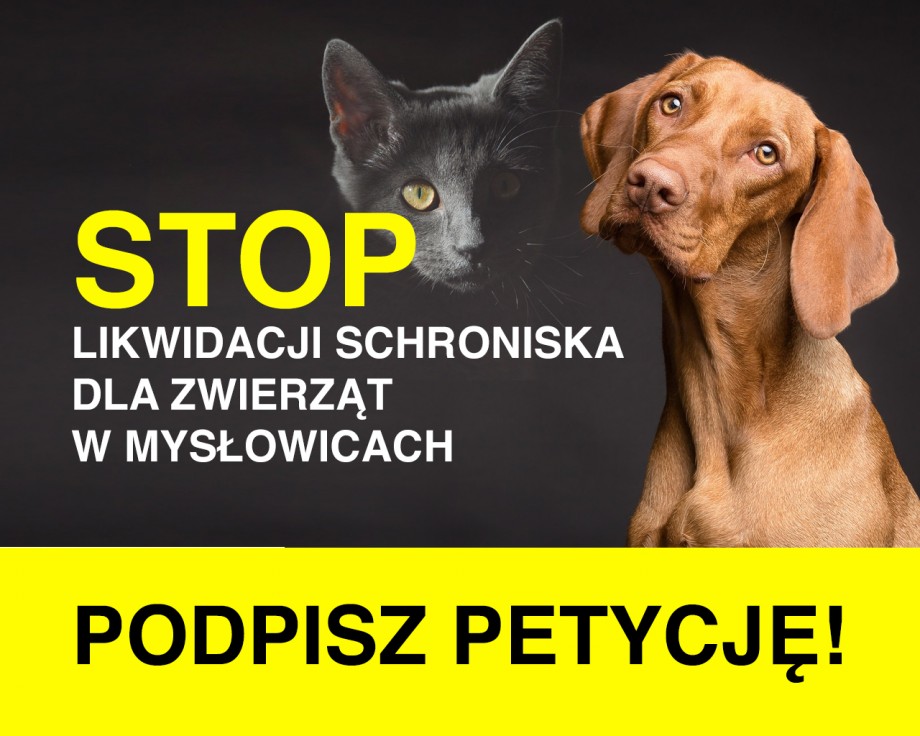 stop-likwidacji-schroniska.jpg