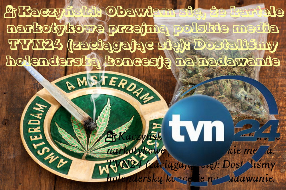 tvn241.jpg